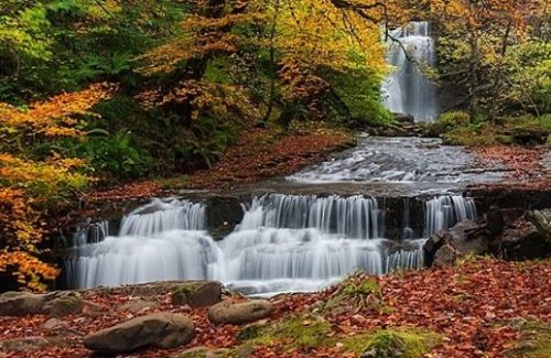 Senderismo Otoño hayedo Saja-Besaya
