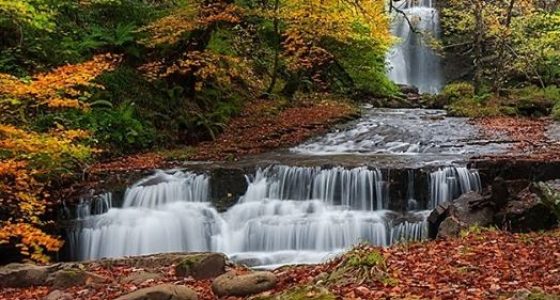 Senderismo Otoño hayedo Saja-Besaya