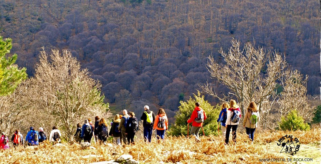 Senderismo Castañar del Tiemblo Cristal de Roca