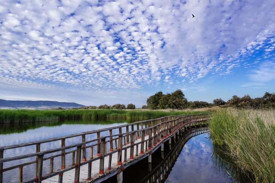 Carnavales Miguelturra Cristal de Roca