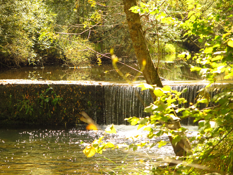 Senderismo Bosque Finlandia Cristal de Roca