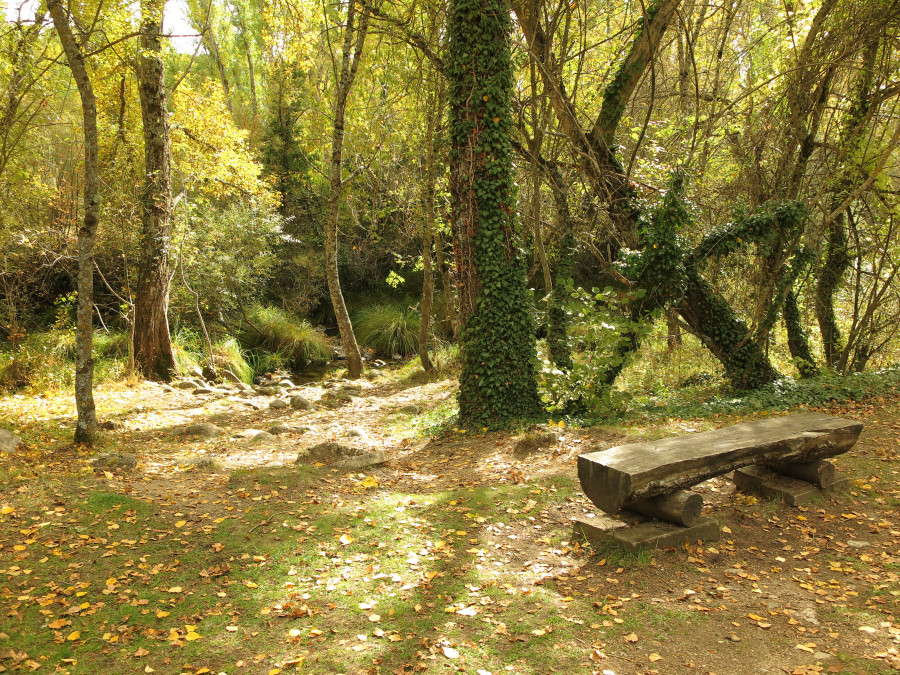 Senderismo Bosque Finlandia Cristal de Roca