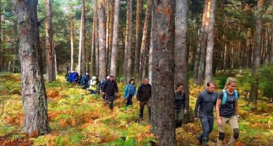 Senderismo Abedular Canencia Cristal de Roca