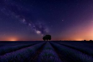 Senderismo Cristal de Roca Lavanda Luna Llena
