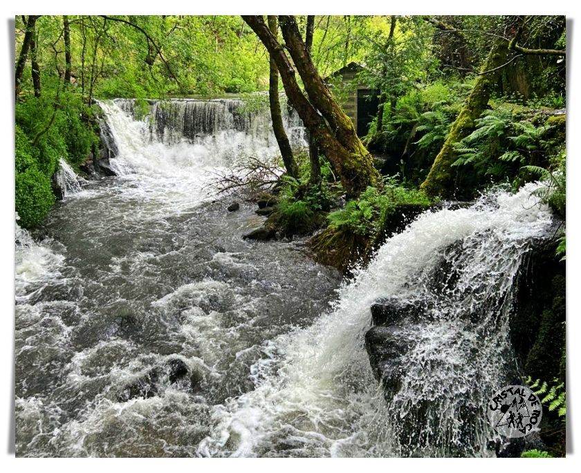 Senderismo Termas Vizela Cristal de Roca
