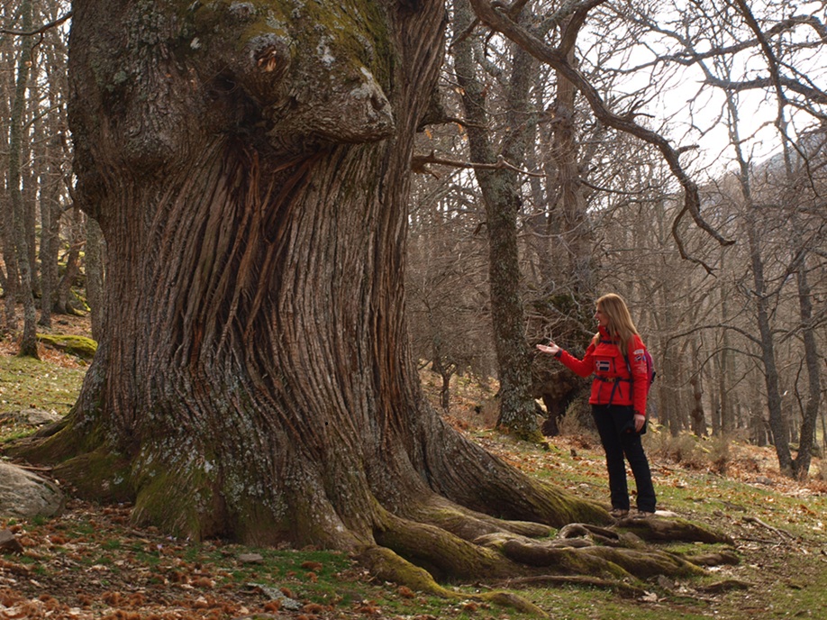 Senderismo Castañar Tiemblo Cristal de Roca