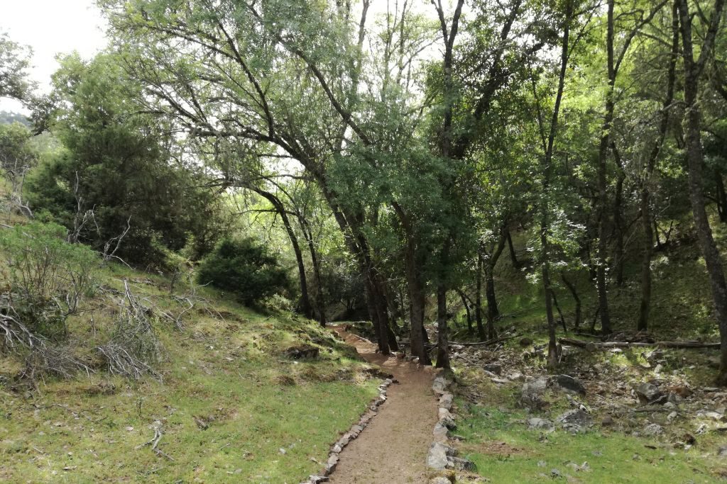 Senderismo Ronda Cristal de Roca